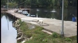 Десногорск