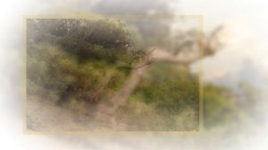 Дорожные зарисовки. Пейзаж