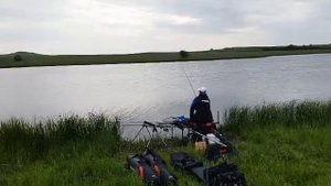 Daiwa Tournament Pro Feeder 11 ft / 50 gr & Daiwa TDR 3012