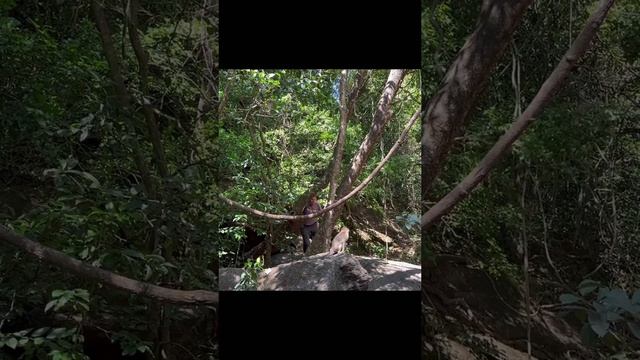 Слабо как обезьяна