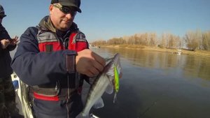 SALMO FREEDIVER 12SDR – плавающий глубинный кренкбейт с уникальными особенностями.