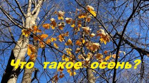 Что такое осень?