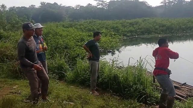 ULTRALIGHT CAPUNG 702 VS TOMAN