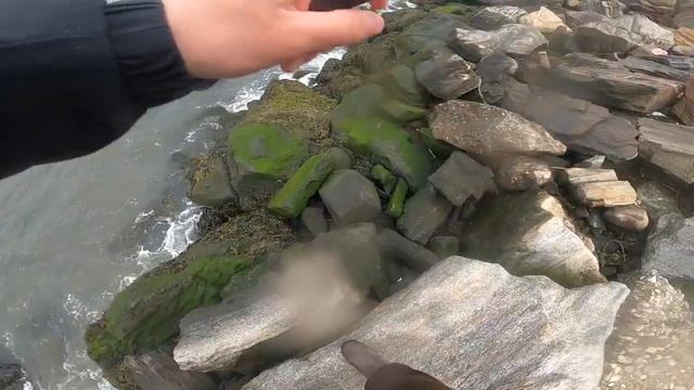 My First STRIPED BASS OF 2020! Early Spring Run Long Island! смотреть онлайн