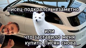 Как меня угораздило снова купить Лисян или Писец подкрался не заметно.