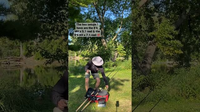 Daiwa Prorex Rod/Reel Review смотреть онлайн