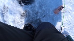 ОМУЛЕВОЕ ЭЛЬДОРАДО НА БАЙКАЛЕ!!!