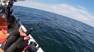 JIGGING REEL SEAHAWK TARANTULA 4000 vs 7KG GT