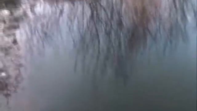 BLACK BASS SPINNING 2010 смотреть онлайн