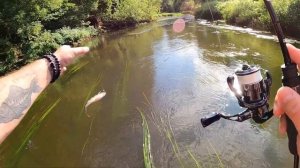 Мормышинг ! Река Десна ! Мормышинг на течении ! Охота на ельца …