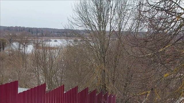 Разлив реки Вязьма в 2024 году  Ожидания не оправдались