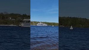 Мандроги.Ленинградская область