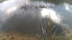 Kosadaka Cord-R XS90 F  первая щука