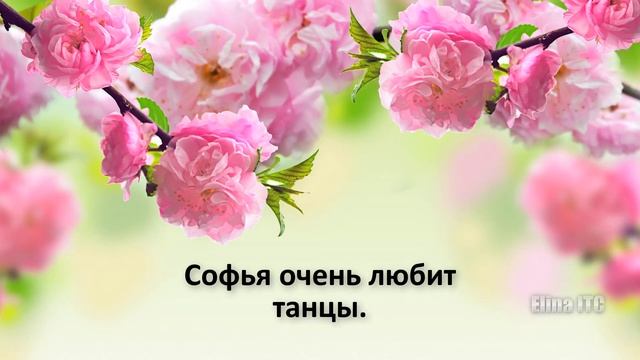 Послания Тонкого Мира ч.77. Инструментальная транскоммуникация. Феномен электронного голоса. Софья