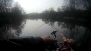 Fishing for Carp at Lizard Fishery