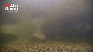 Abu Garcia Atom Vass swimming action
