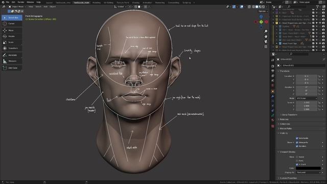 Chapter_01_Part_03_Proportions_and_Head_Tips