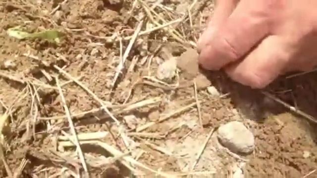 Dirt Digging in the summer Part 1 смотреть онлайн