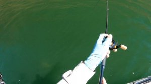 NEW Shimano Poison Adrena 167L BFS Rod Review:  Power BFS Perfection.