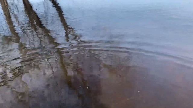 Магнитная рыбалка много монет клад смотреть онлайн