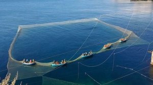 Рыболовный СТАВНИК - применение на водоёмах, как установить и что это такое Ставник Рыболовный.