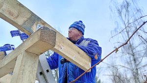 Мороз и солнце день чудесный. Ура поспела помощь. Сено и стройка.