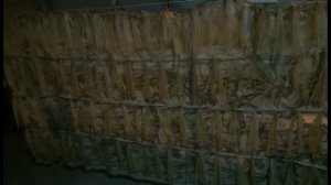 Заседка скрадок своими руками для охоты на уток , гусей , голубей