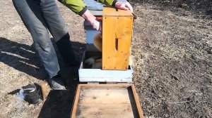 Многокорпусные ульи, замена доньев