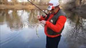 Константин Кузьмин  Основы твичинга