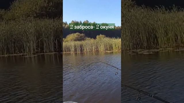 Ловля окуня на джиг. Рыбалка спинингом #fishing #рыбалка #окунь