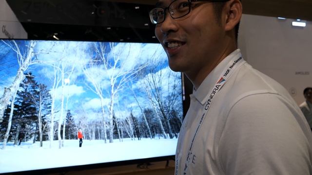 BOE 12.3" Rollable Phone, 7.7" Foldable Phone, BD Cell, Printed OLED, 8K VR, Automotive, mini-LED смотреть онлайн