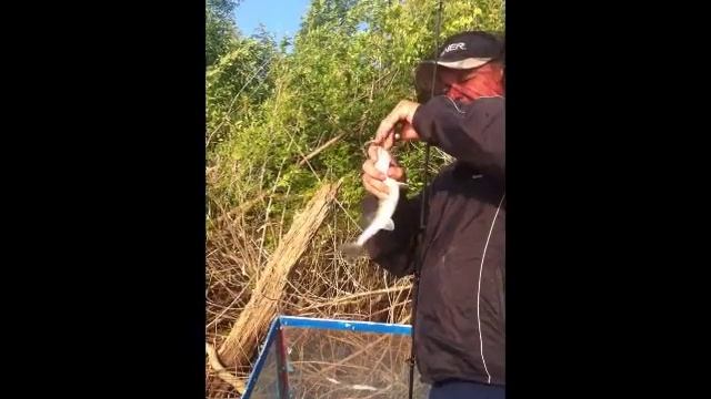 Ловля на джиг смотреть онлайн