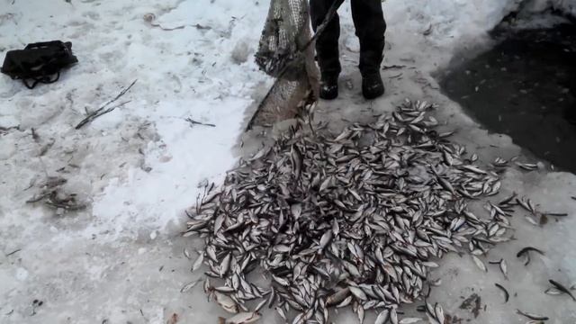 Придуха смотреть онлайн