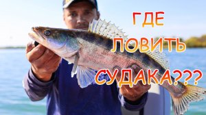 Поиск судака на Дону! Джиг с лодки💪Где искать хищника? Как выбрать точку ловли! Отличная рыбалка👍