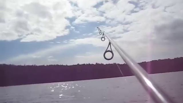 Legend Elite LES76MLXF2 - "отрыжка" - голова 12 гр. смотреть онлайн