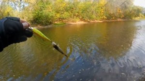 мормышинг не сегодня, ловим на воблеры. Часть 1 катушка DAYO LEGER 200