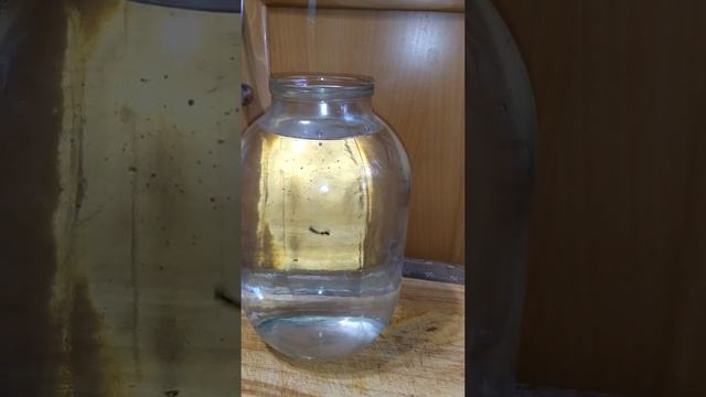 Игра самодельной мормышки смотреть онлайн