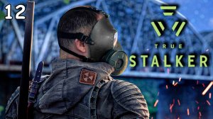 12 TRUE STALKER ► ГЛАВНЫЙ РЕЛИЗ ГОДА ► Прохождение игры S.T.A.L.K.E.R. True Stalker