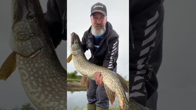 Nice canal pike 👍