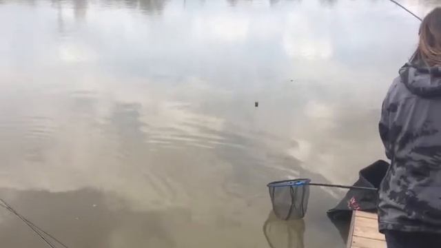 Поимка осетра на опарыша смотреть онлайн