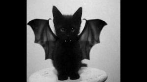 *sold* unki x huzzy b x jerk type beat