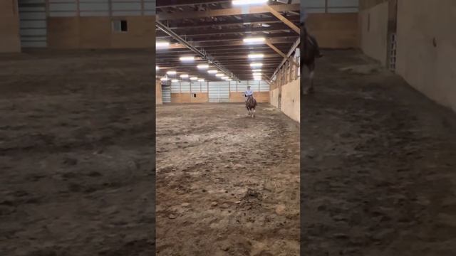 Kristina Nesbitt | Best Asset Yet | Green Horse WTL , Non Pro Ranch Riding (October 2022) смотреть онлайн