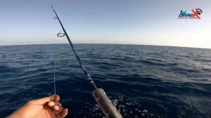 Shimano Stradic FL on Fast Jigging