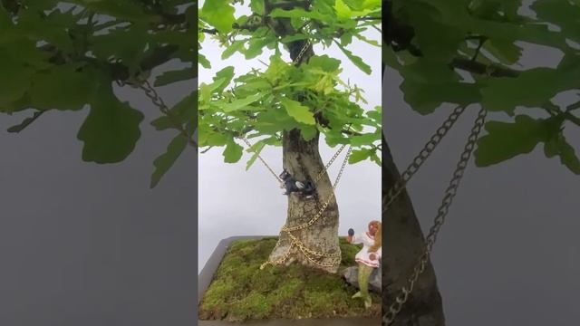 У лукоморья дуб зелёный #bonsai #shorts #дуб #garden #plant