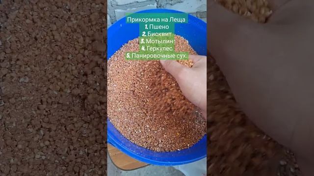 Как сделать Прикормку на Леща! в домашних условиях #fishing #рыбалка #природамать #carp