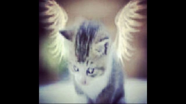 *free for profit* jerk + hoodtrap type beat - mario смотреть онлайн