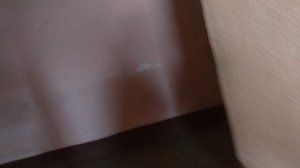 Залипайка. Пассажирский лифт (МОЭЛЗ-1982 г.в) с новым купе V=1 м/с, г/п 320 кг (г. Тверь)