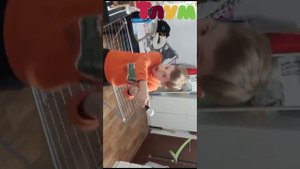 Конец вещания Мульт начало вещания Тлум НД
