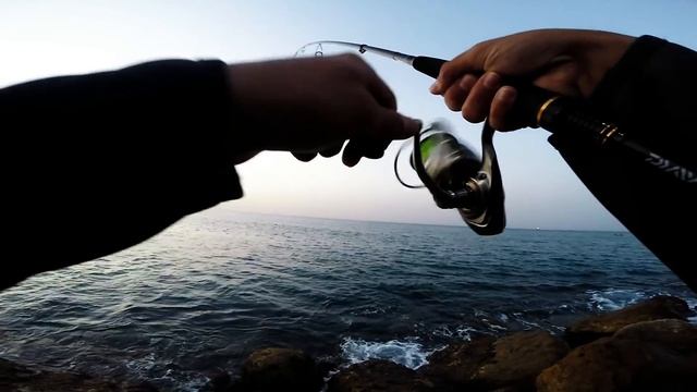 C&R | Spanish Mackerel 1.150 Kg | Erez Cohen fishing videos | דייג | פלמידה | Shore game смотреть онлайн