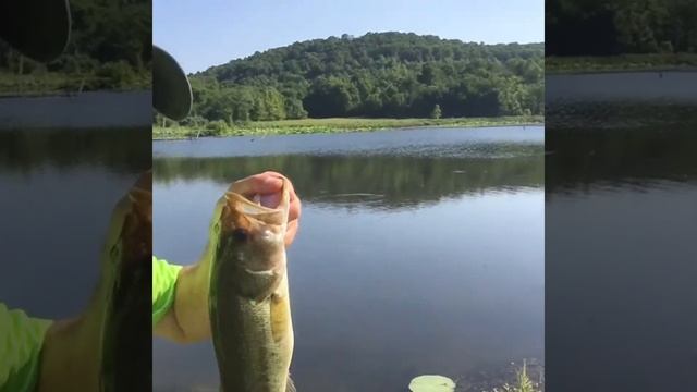 McClintic WMA, jig fishing, 7/19/20 смотреть онлайн